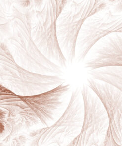 Fototapeta Krémová rozeta