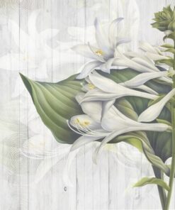 Fototapeta Květina na podlaze