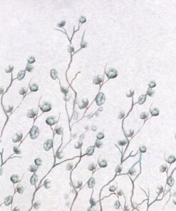 Fototapeta Bavlněné květiny