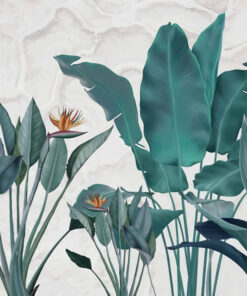 Fototapeta Květy strelicie