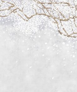 Fototapeta Kvetoucí sakura