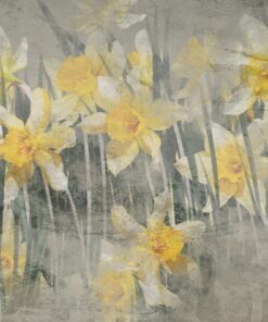 Fototapeta Narcisová louka