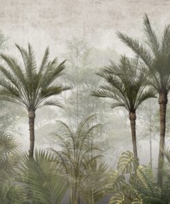 Fototapeta Vysoký palmový les v mlze