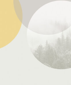 Fototapeta Les uzavřený v kruhu