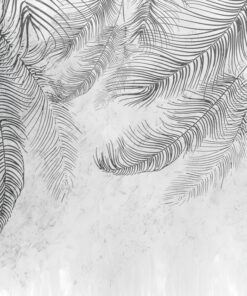 Fototapeta Černé palmové listy