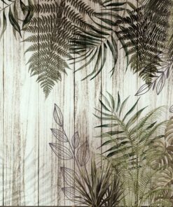 Fototapeta Listy kapradí