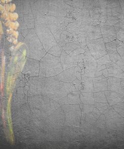 Fototapeta Mladý Buddha