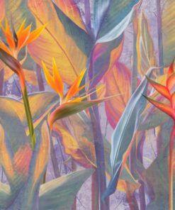 Fototapeta Síla exotických barev