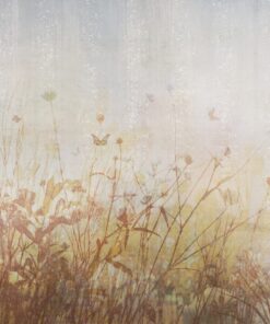 Fototapeta Motýli na louce