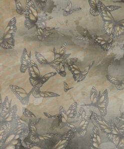 Fototapeta Motýli v letu