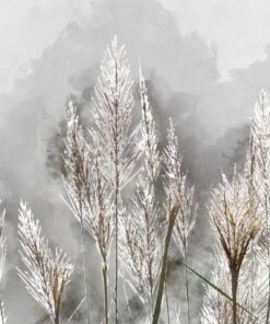 Fototapeta Mráz na rostlinách