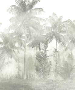 Fototapeta Palmy a mlha