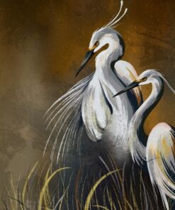 Fototapeta Dvojice divokých jeřábů