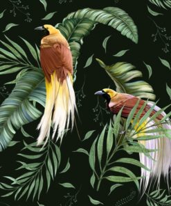 Fototapeta Dvojice exotických ptáků