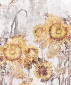 Fototapeta Slunečnicové pole