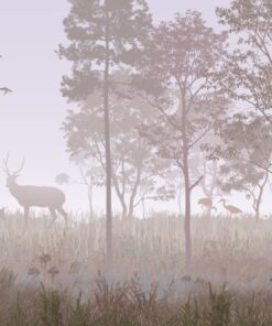 Fototapeta Ráno v lese