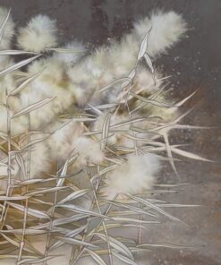 Fototapeta Rostlinné chmýří