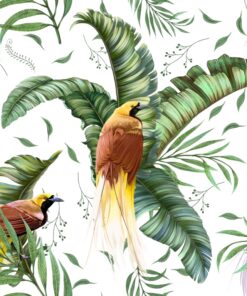 Fototapeta Rajské ptáky