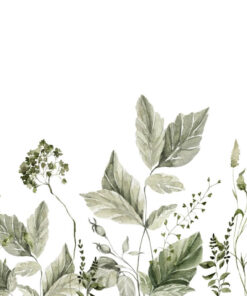 Fototapeta Rostliny na bílém pozadí