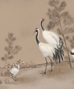 Fototapeta Rodina bílých jeřábů