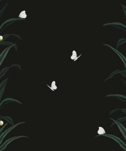 Fototapeta Rostliny na černém pozadí