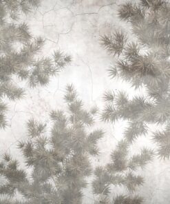 Fototapeta Rostliny na popraskaném povrchu