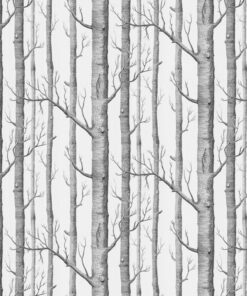 Fototapeta Zeď stromů