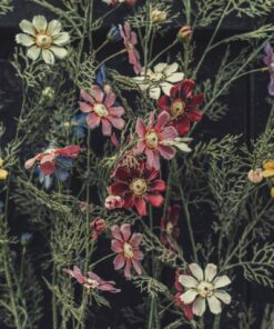 Fototapeta Zahradní květinová zeď