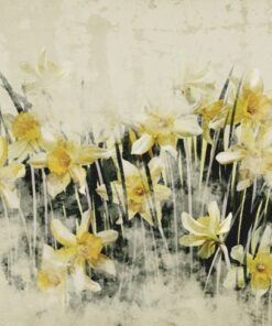 Fototapeta Zeď žlutých narcisů