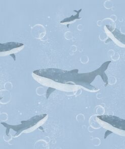 Fototapeta Škola velryb