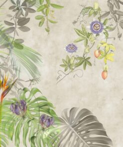 Fototapeta Šedá monstera