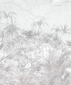 Fototapeta Šedé rostliny na zdi