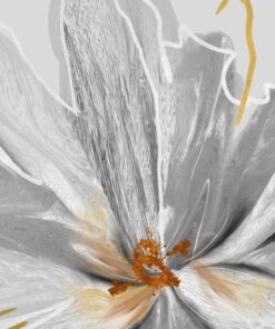 Fototapeta Šedý květ