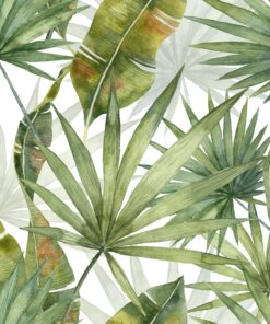 Fototapeta Tropické listy