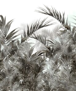 Fototapeta Tropy bez barev