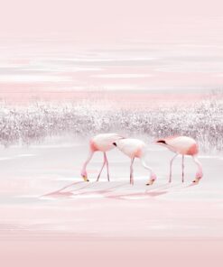 Fototapeta Tři plameňáci