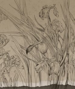 Fototapeta Vysoké květiny