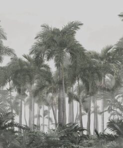 Fototapeta Vysoké palmy bez barvy