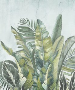 Fototapeta Palmový list zelený