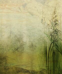 Fototapeta Zelená tráva