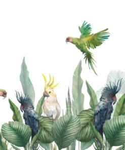 Fototapeta Zelení papoušci