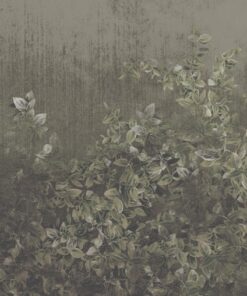 Fototapeta Zelený břečťan na tmavém pozadí