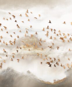 Fototapeta Zlatí ptáci