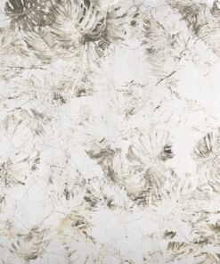 Fototapeta Zničená monstera