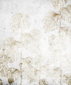 Fototapeta Zničená monstera