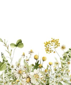 Fototapeta Žlutá louka