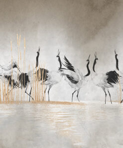 Fototapeta Jeřábi námluvní