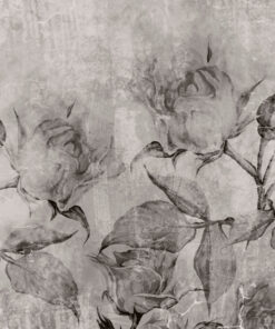 Fototapeta Černobílé odstíny růží