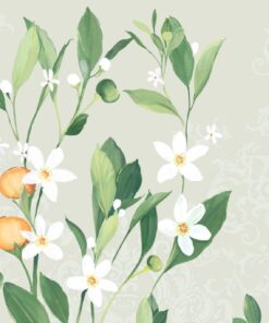 Fototapeta Bílá a zelená