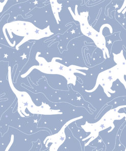 Fototapeta Hvězdné kočky